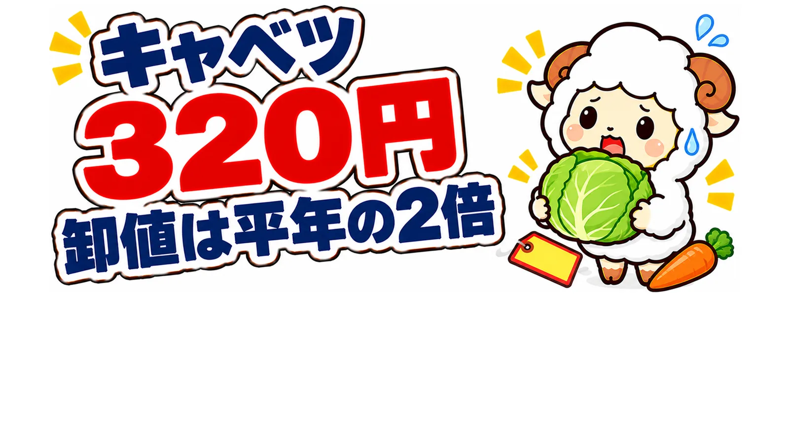 キャベツ320円・卸値は平年の2倍のアイキャッチ